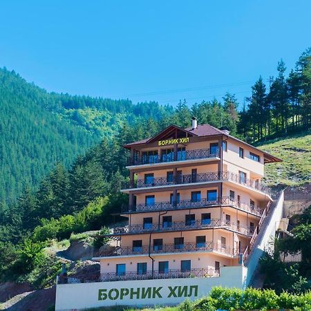 Борник Хил / Bornik Hill Девин Экстерьер фото