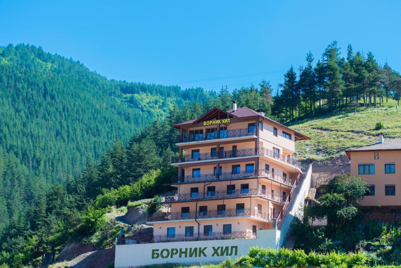 Борник Хил / Bornik Hill Девин Экстерьер фото
